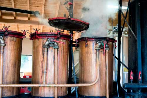 distillerie castan